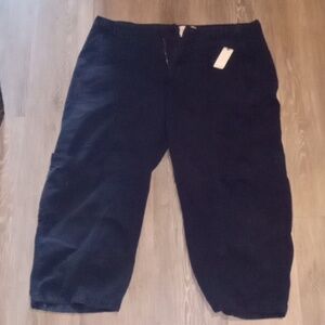 Anthropologie Capri pants Size 16 NWT